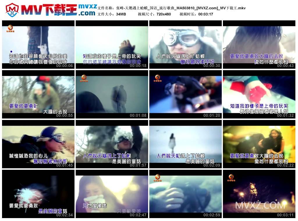 张峰-天鹅遇上蛤蟆_国语_流行歌曲_MA503810
